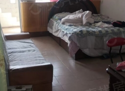 整租·桥东工人村东住宅区 2室1厅 南/北_桥东工人村东住宅区租房