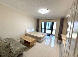 整租·森林半岛 1室1厅 南/北_森林半岛租房