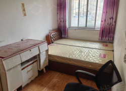 整租·枣园小区 1室1厅 南_枣园小区租房