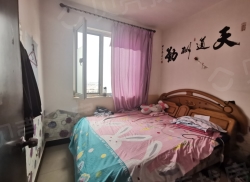 整租·双湖锦苑一期 3室1厅 南/北_双湖锦苑一期租房