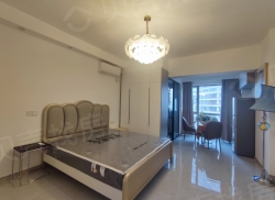 整租·新天地 1室1厅 北_新天地租房