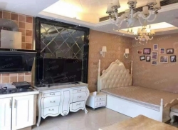 整租·东晟文化公馆 1室1厅 南_东晟文化公馆租房