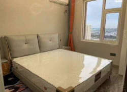 整租·天坤天悦名城 2室1厅 南_天坤天悦名城租房