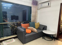 整租·恒大名都 1室1厅 南_恒大名都租房