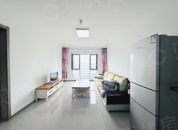 整租·沈抚中南熙悦 3室2厅 南/北_沈抚中南熙悦租房