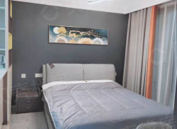 整租·思乐为置地广场 1室1厅 东南_思乐为置地广场租房