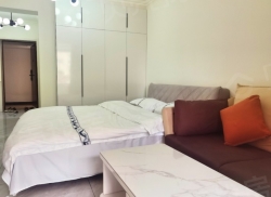 整租·百度城 1室0厅 南_百度城租房