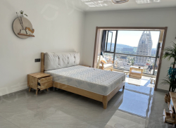 整租·黎都盛景 1室1厅 南_黎都盛景租房