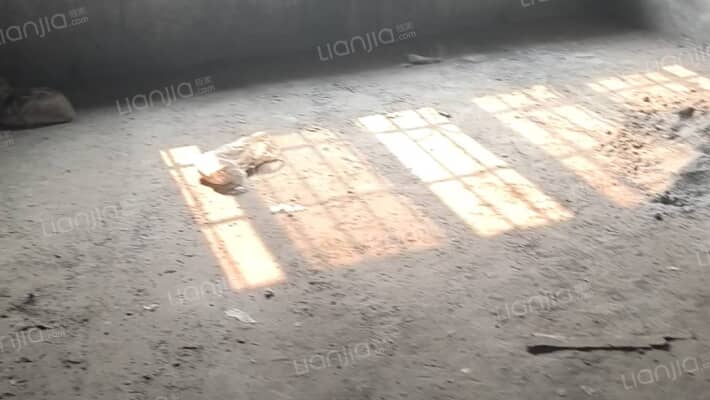 红碑四街二手房实景图