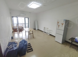 整租·申鑫国际广场 2室2厅 南_申鑫国际广场租房