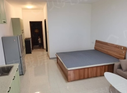 整租·财富官邸南区 1室1厅 北_财富官邸南区租房