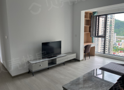 整租·正黄金域华府 3室2厅 东南_正黄金域华府租房