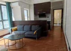 整租·荣盛中央广场 1室1厅 东南_荣盛中央广场租房