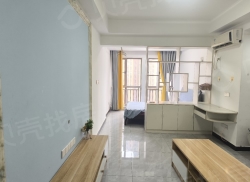 整租·新天地 1室1厅 南_新天地租房