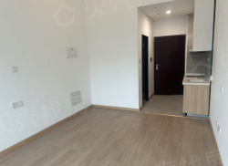 整租·邛海17度 1室1厅 南_邛海17度租房