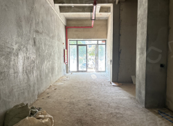 整租·碧桂园·阅江府 2室1厅 北_碧桂园·阅江府租房