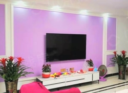 整租·四季新城 5室2厅 南_四季新城租房