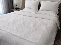 整租·金沙国际 1室1厅 南_金沙国际租房