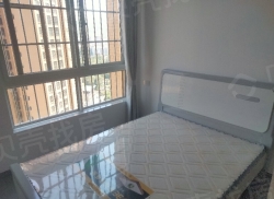 整租·天宇半岛阳光二期 2室2厅 东南_天宇半岛阳光二期租房