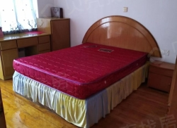 整租·大智路2号 2室1厅 南_大智路2号租房