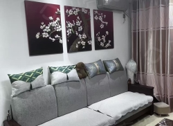 整租·信泰金域仕家 2室2厅 南_信泰金域仕家租房