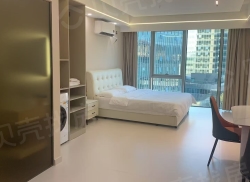 整租·宝龙城 1室1厅 南_宝龙城租房