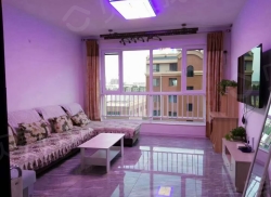 整租·绿岛花园 1室1厅 南_绿岛花园租房