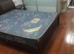 整租·红丰新村 2室1厅 南/北_红丰新村租房