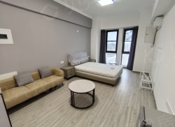 整租·万达CBD中心 1室1厅 南_万达CBD中心租房