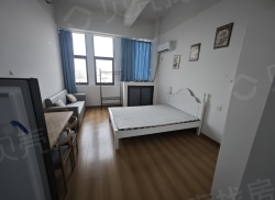 整租·柏庄财富广场 1室1厅 南_柏庄财富广场租房