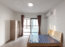 整租·碧桂园时代之光 1室1厅 南_碧桂园时代之光租房