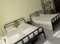 整租·紫金城 1室1厅 南_紫金城租房