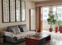 整租·金台大道9号 3室2厅 南/北_金台大道9号租房