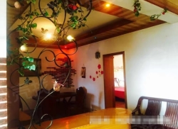 整租·繁城西村小区 3室2厅 东_繁城西村小区租房