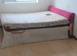 整租·丽兹·江畔 2室1厅 东/西_丽兹·江畔租房