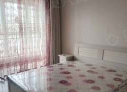 整租·益民家园 1室1厅 南_益民家园租房