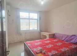 整租·河西新村 2室1厅 南_河西新村租房