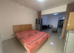 整租·建鑫城国际社区 1室1厅 东南_建鑫城国际社区租房