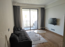 整租·中骏四季康城2期 1室1厅 南_中骏四季康城2期租房