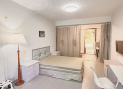 整租·绿色家園 1室1厅 南_绿色家園租房