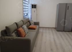 整租·金宛新村 3室2厅 南_金宛新村租房