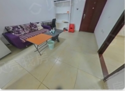 整租·金山国际 1室0厅 南_金山国际租房