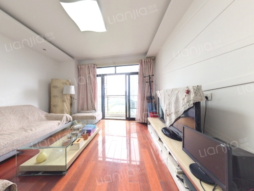 整租·湖畔天城 4室2厅 南