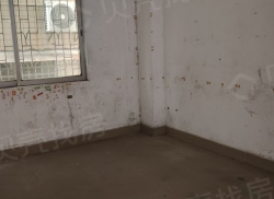 整租·国贸大厦 1室0厅 南_国贸大厦租房