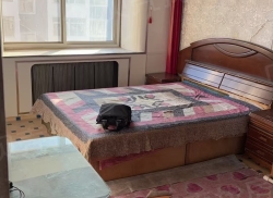 整租·莲锦小区 1室1厅 南_莲锦小区租房