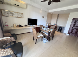 整租·凤凰水城红树湾 1室1厅 南_凤凰水城红树湾租房