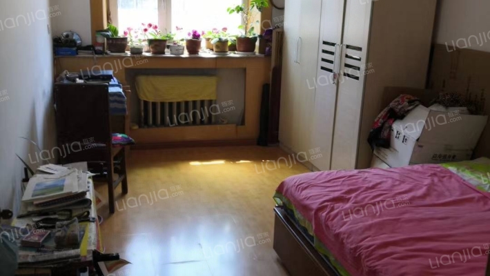 星光家属小区(三大动力路)二手房实景图