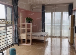 整租·紫荆花商务中心 1室1厅 南_紫荆花商务中心租房