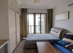 整租·实地蔷薇国际东区 1室1厅 南_实地蔷薇国际东区租房