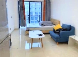 整租·绿地中央广场 1室0厅 南_绿地中央广场租房